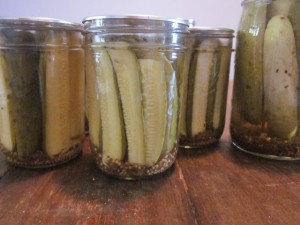 Canned Pickles