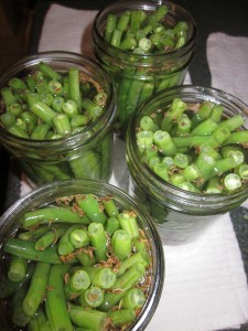 Canned Dilly Beans Recipe