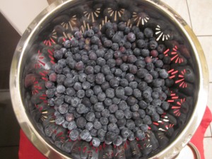 blueberry jam recipe