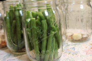sunshine canning | dilly beans