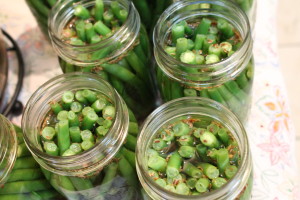 sunshine canning | dilly beans