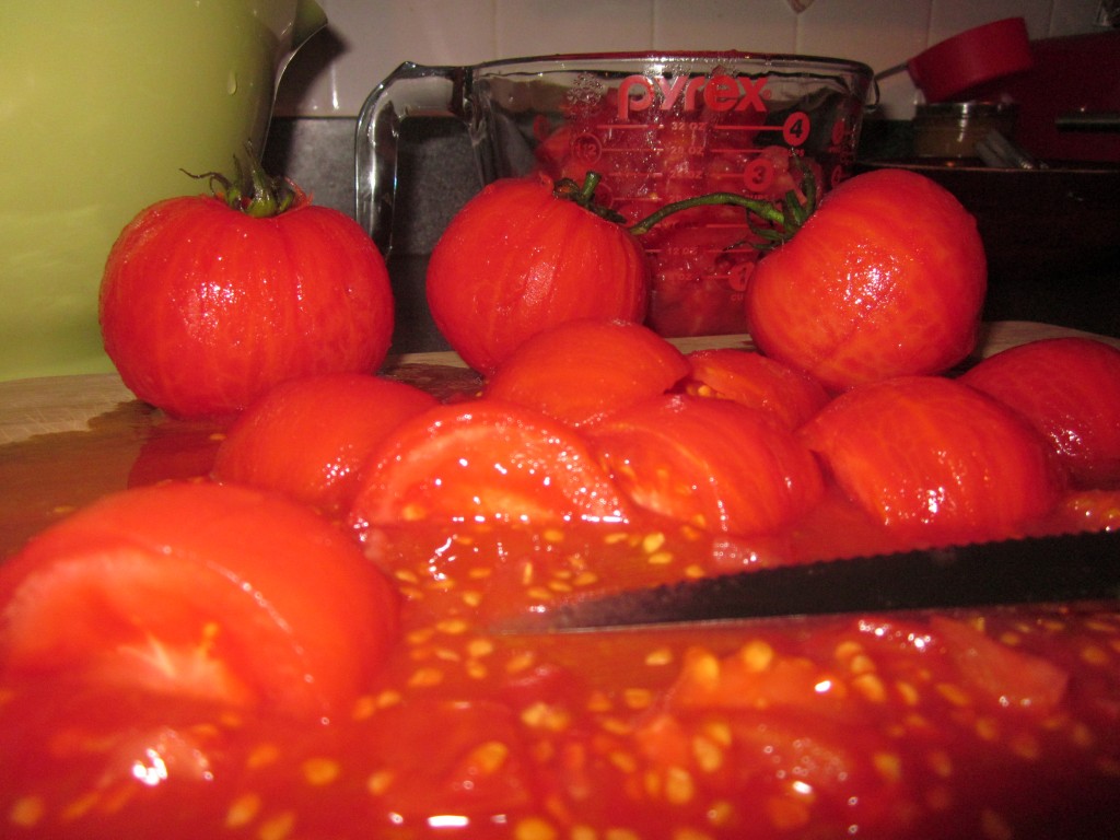 sunshine canning | chile salsa