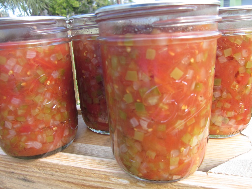 sunshine canning | chile salsa