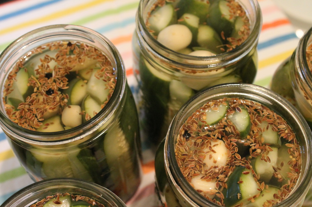 sunshine canning  |  dill pickles