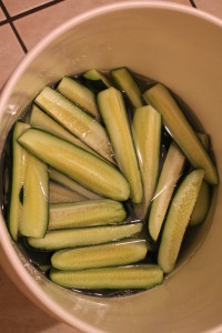 sunshine canning | dill pickles